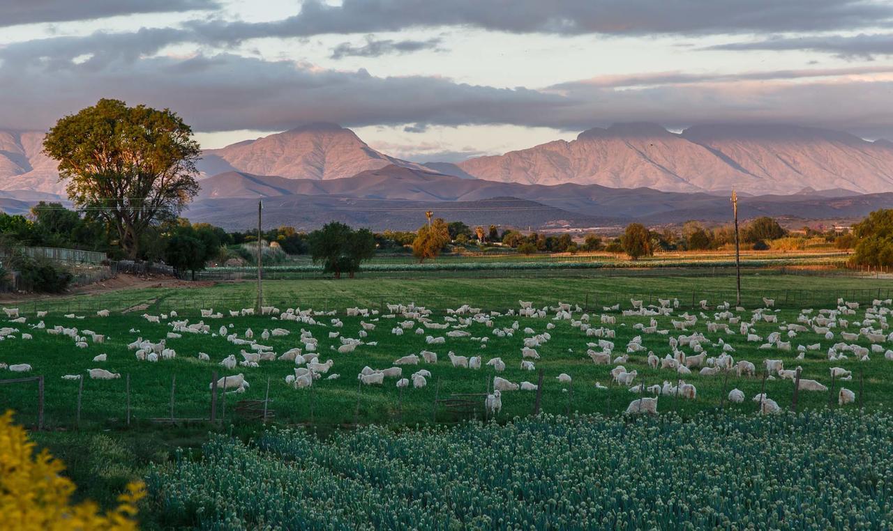 Sonas Boutique Hotel Oudtshoorn Eksteriør bilde