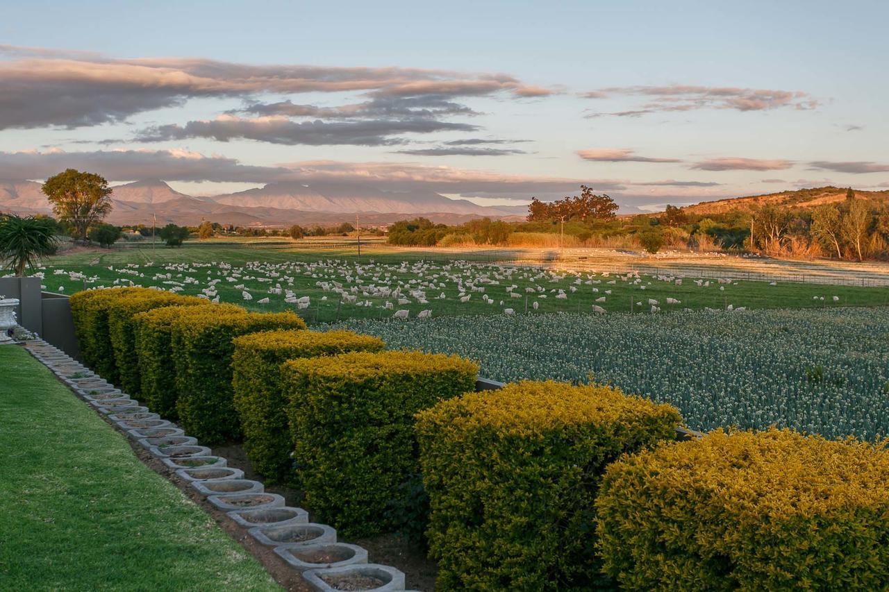 Sonas Boutique Hotel Oudtshoorn Eksteriør bilde